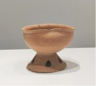  红陶豆